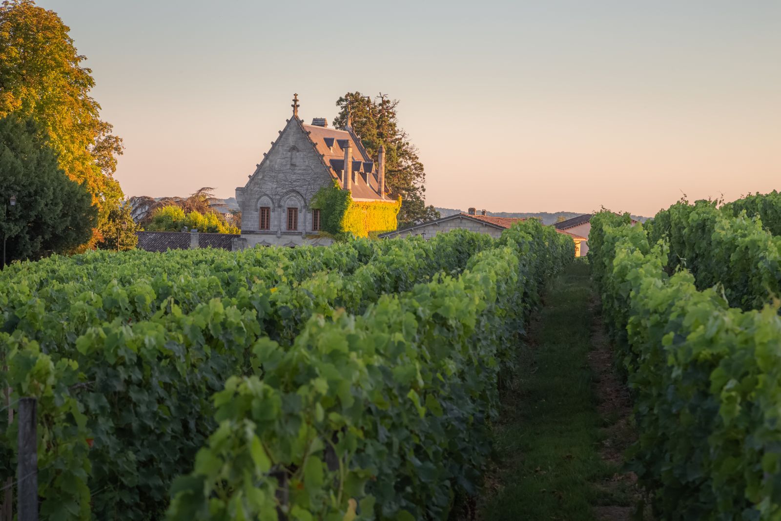 Chateau La Fleur-Pétrus 