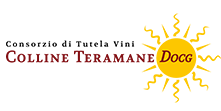 Consorzio di Tutela Vini