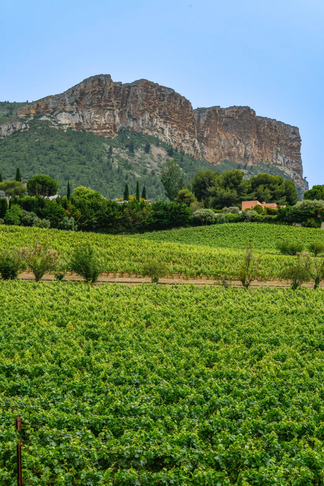 Domaine de Trévallon