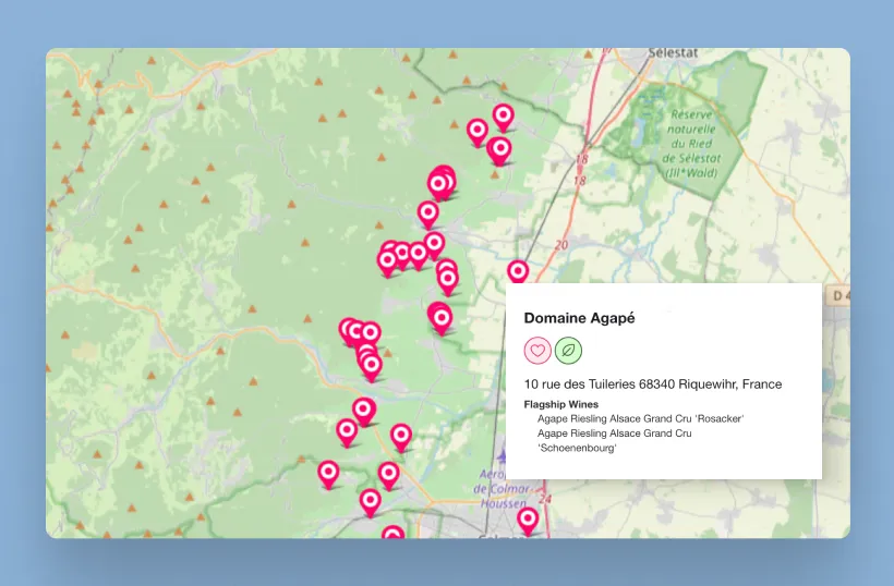 Image highlighting WSG Wine Producer Guide