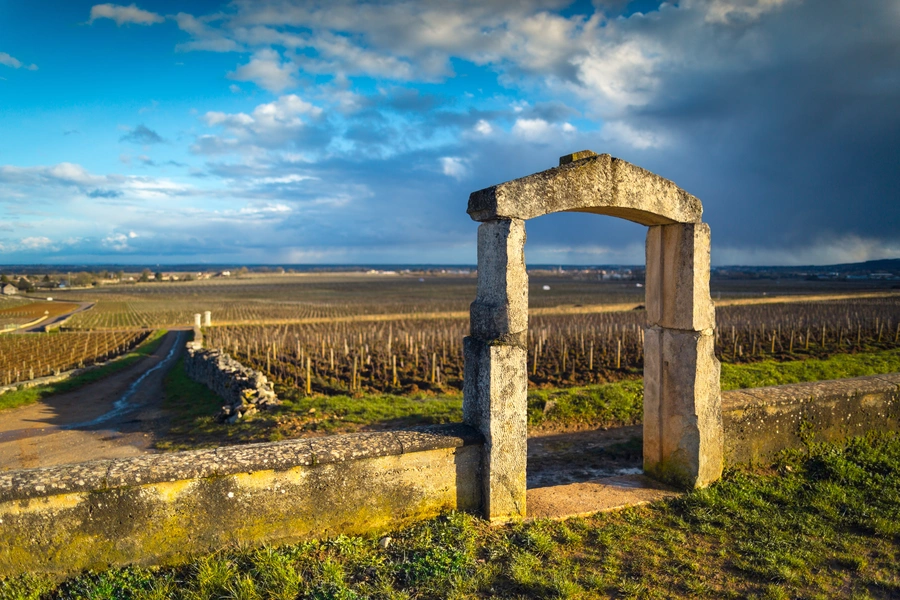 Domaine Leflaive in Puligny Montrachet